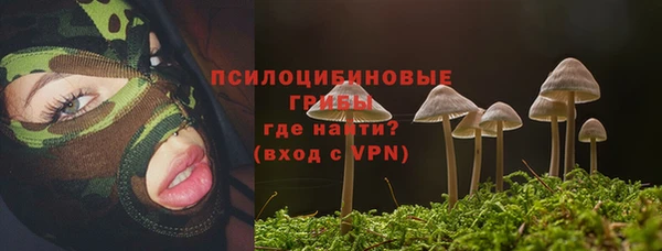 ALPHA-PVP Армянск