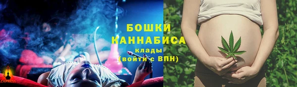 круглые Карпинск