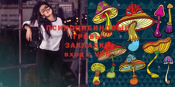 крисы Арсеньев