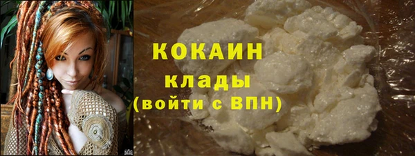 винт Ельня